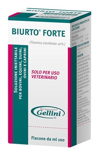 BIURTO FORTE