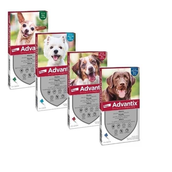 ADVANTIX SPOT-ON PER CANI OLTRE 4 KG FINO A 10 KG