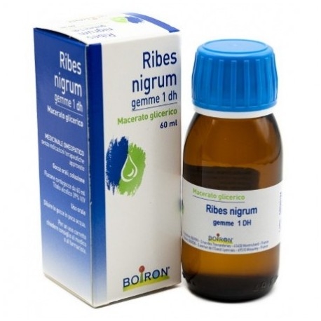 RIBES NIGRUM GEMME MACERATO GLICERICO 60 ML