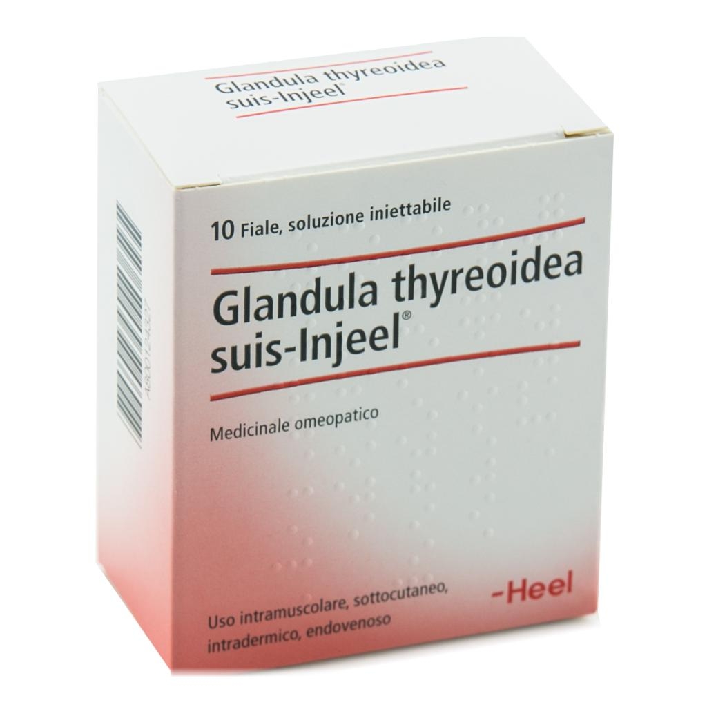 HEEL GLANDULA THYROIDEA SUIS INJEEL 10 FIALE