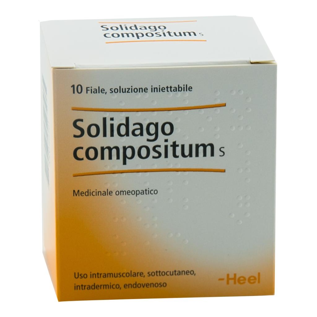 HEEL SOLIDAGO COMPOSITUM 10 FIALE DA 2,2 ML L'UNA