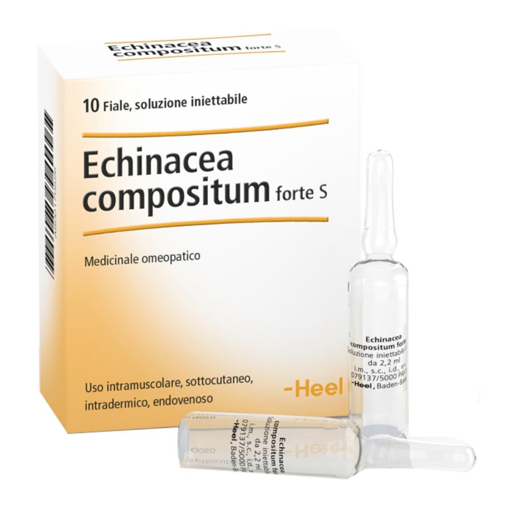HEEL ECHINACEA COMPOSTA S FORTE 10 FIALE