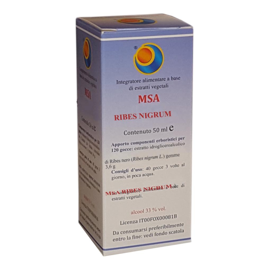 MSA RIBES NIGRUM 50 ML