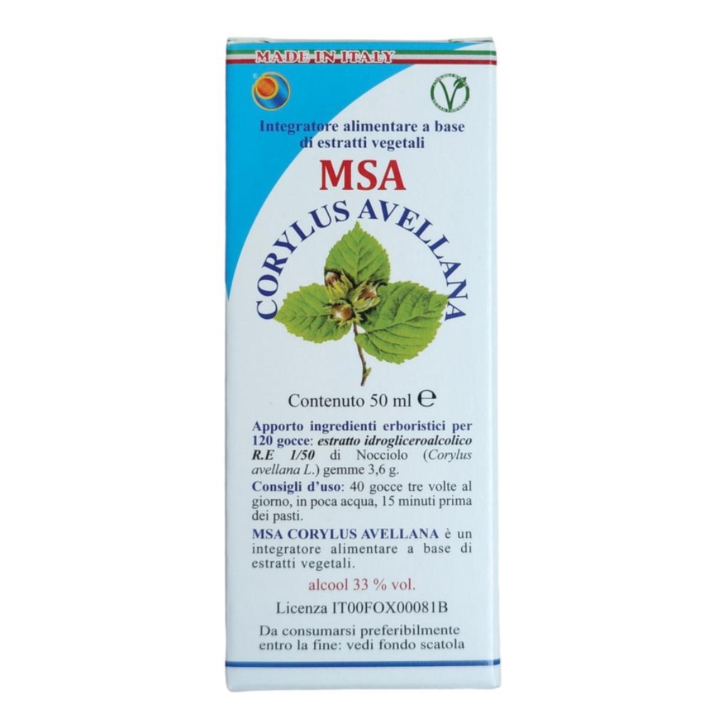 MSA CORYLUS AVELLANA 50 ML