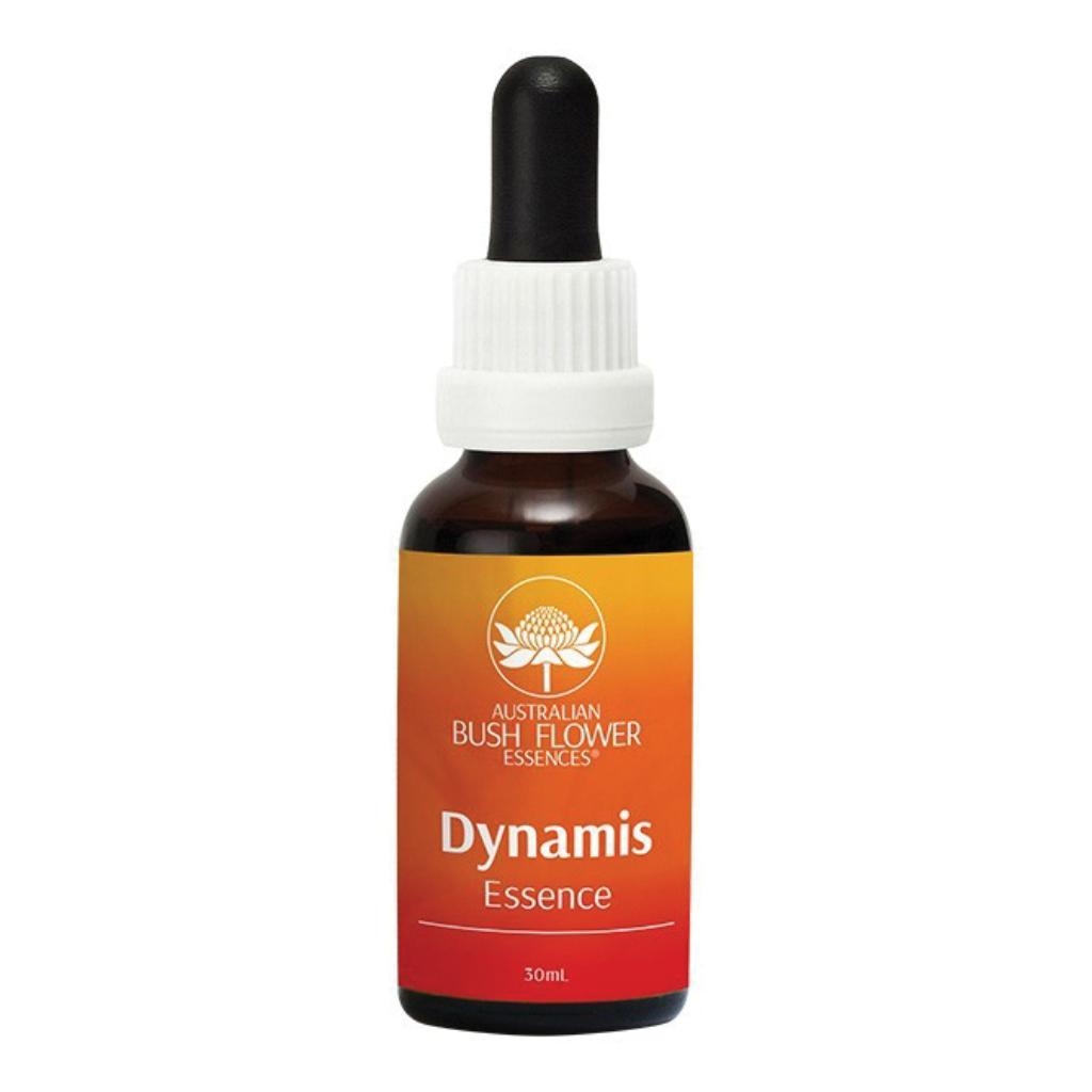 DYNAMIS 30 ML 1 PEZZO