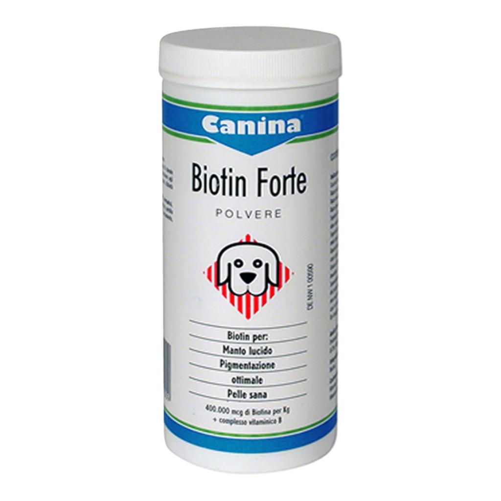 BIOTIN FORTE POLVERE 100 G