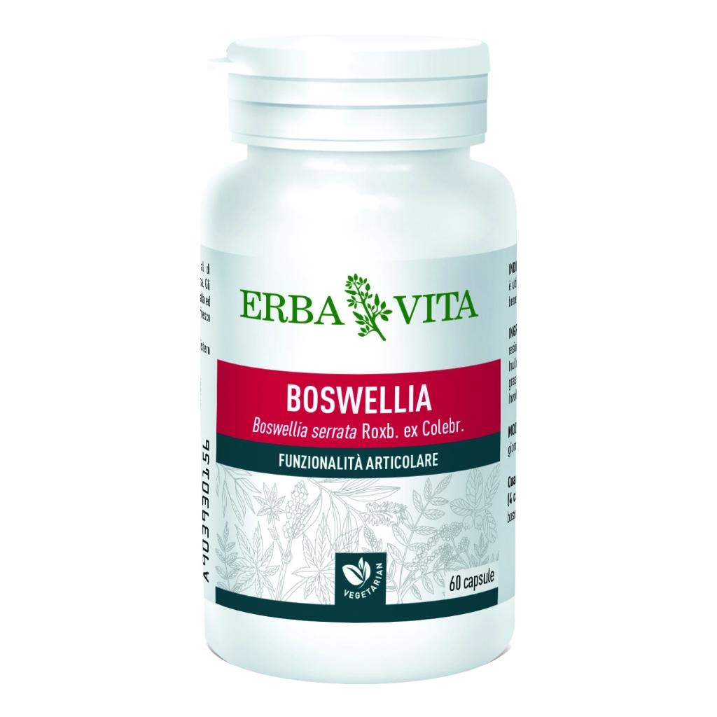 BOSWELLIA SERRATA 60 CAPSULE 400 MG