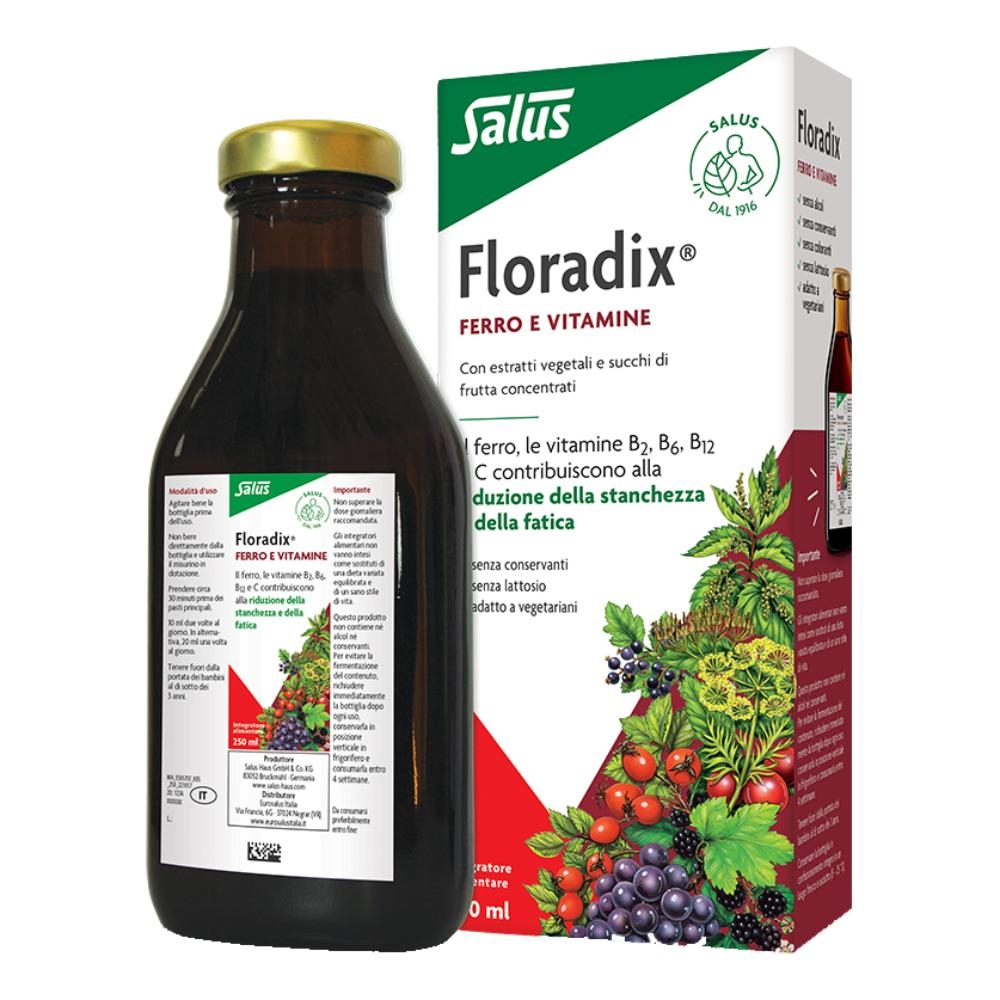 FLORADIX FERRO E VITAMINE 250 ML