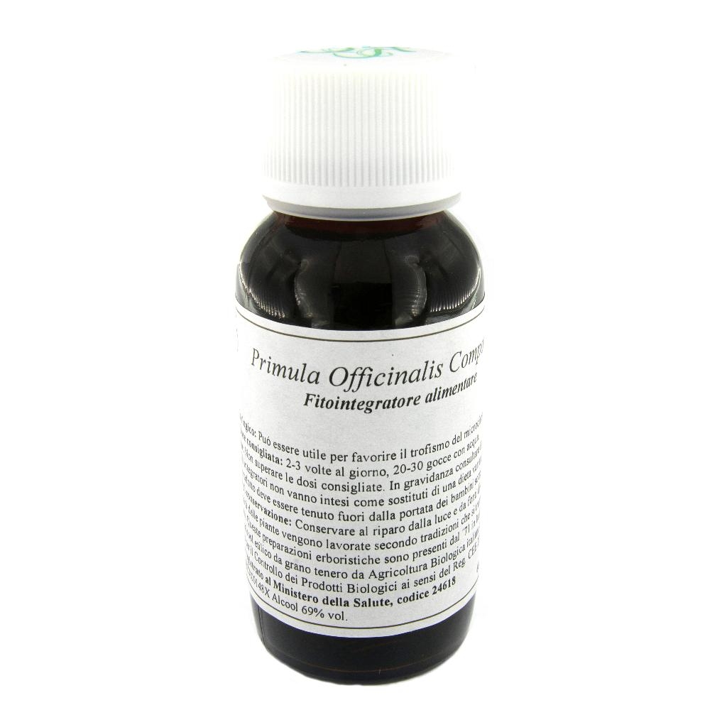 LVS 04N PRIMULA OFFICINALIS COMPOSITUM