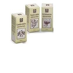 NEPETA CATARIA ESTRATTO ANALCOLICO 50 ML