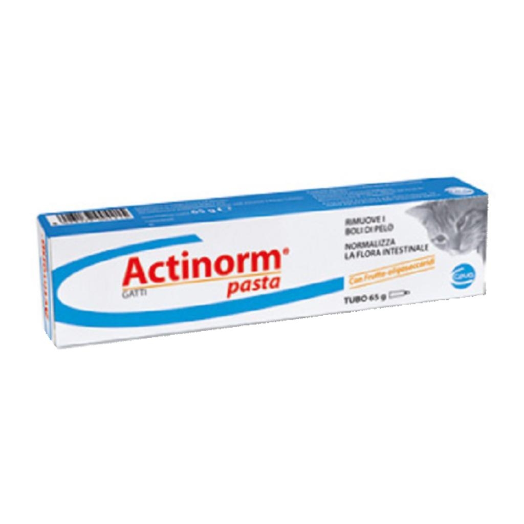 ACTINORM PASTA GATTI 65 G