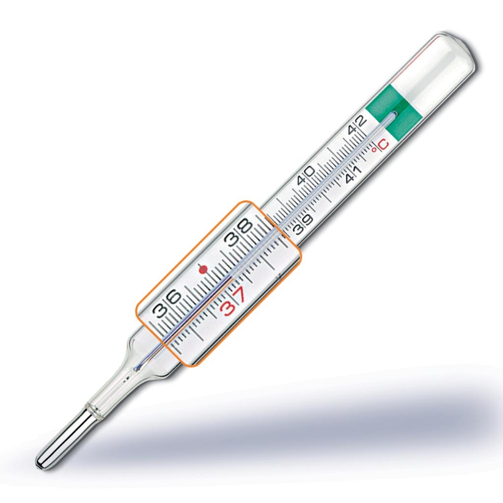 PIC TERMOMETRO VEDOECOPLUS V