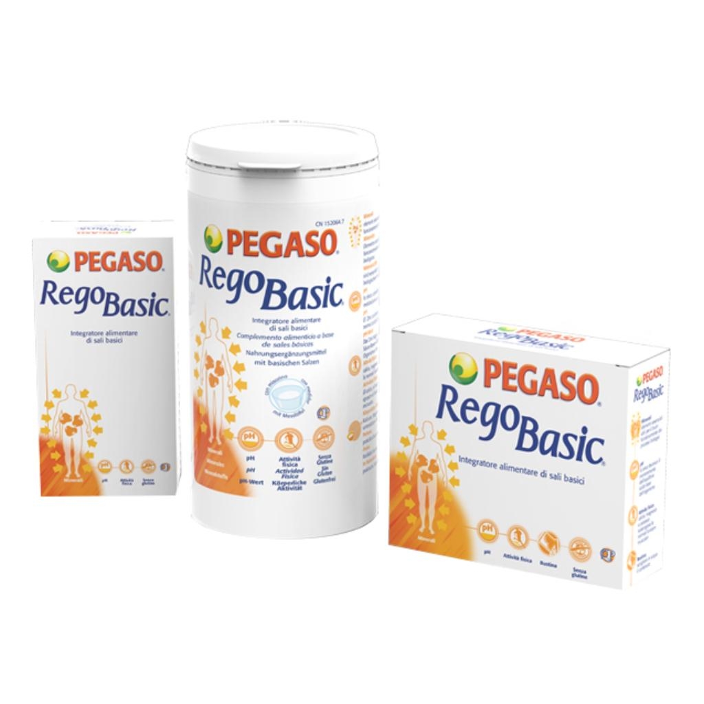 REGOBASIC 12 BUSTINE POLVERE