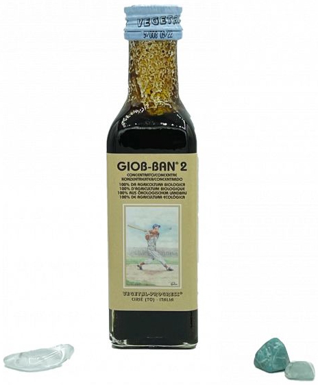 GIOB BAN 2 ART ESTRATTO CONCENTRATO BIOLOGICO 100 ML