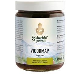 VIGORMAP PASTA 600 G