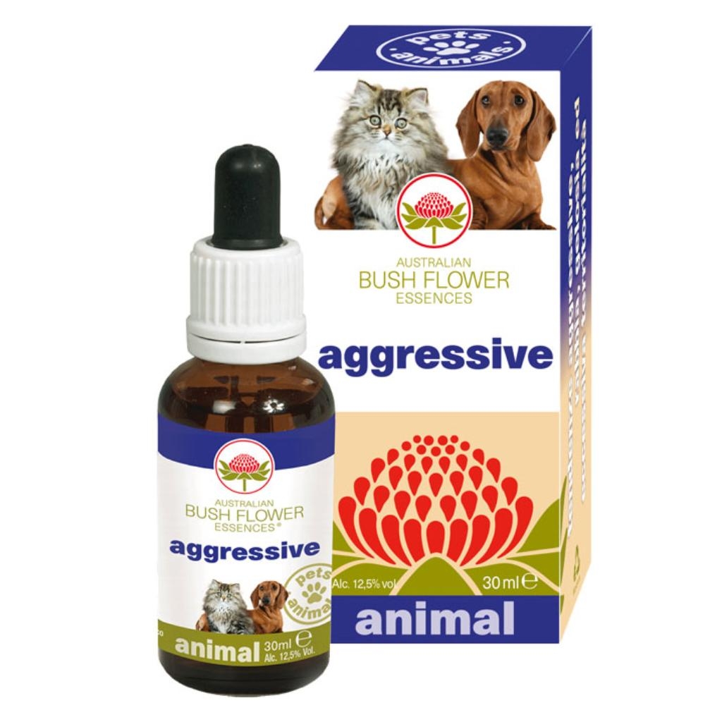 AGGRESSIVE 30 ML