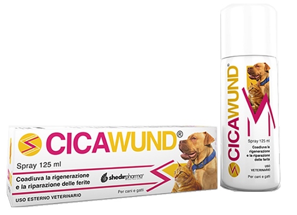 CICAWUND SPRAY 125 ML