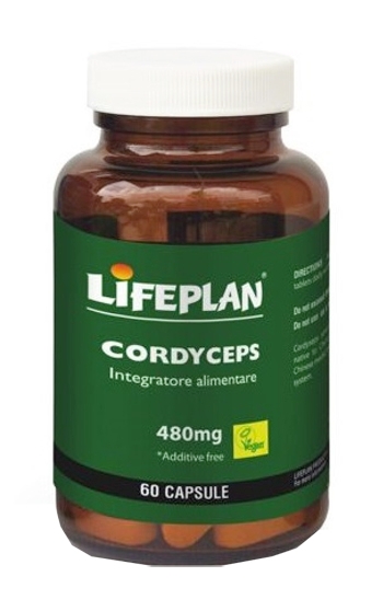 CORDYCEPS 60 CAPSULE