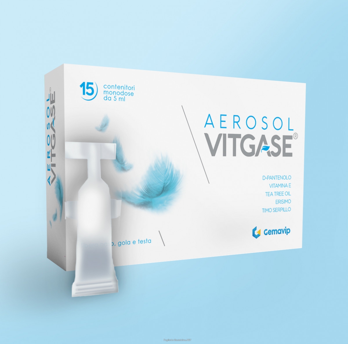 VITGASE AEROSOL 15 FLACONCINI 5 ML
