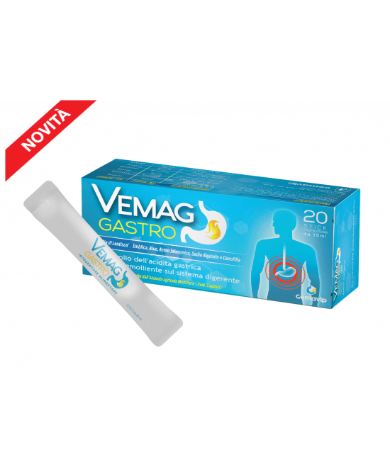 VEMAG GASTRO 20 STICK