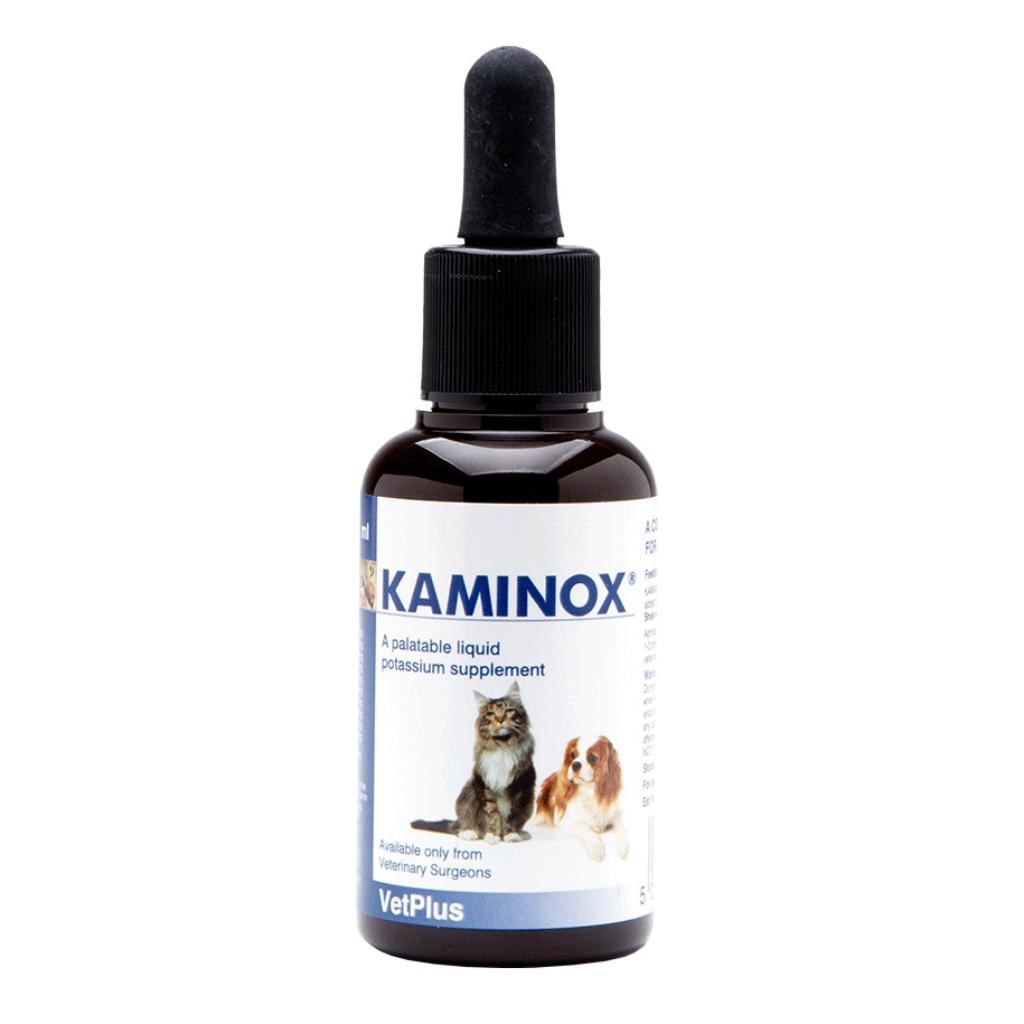 KAMINOX SCIROPPO 60 ML