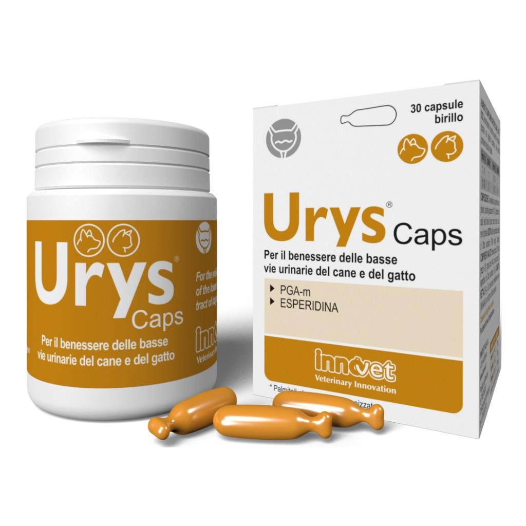 URYS CAPS 30 CAPSULE