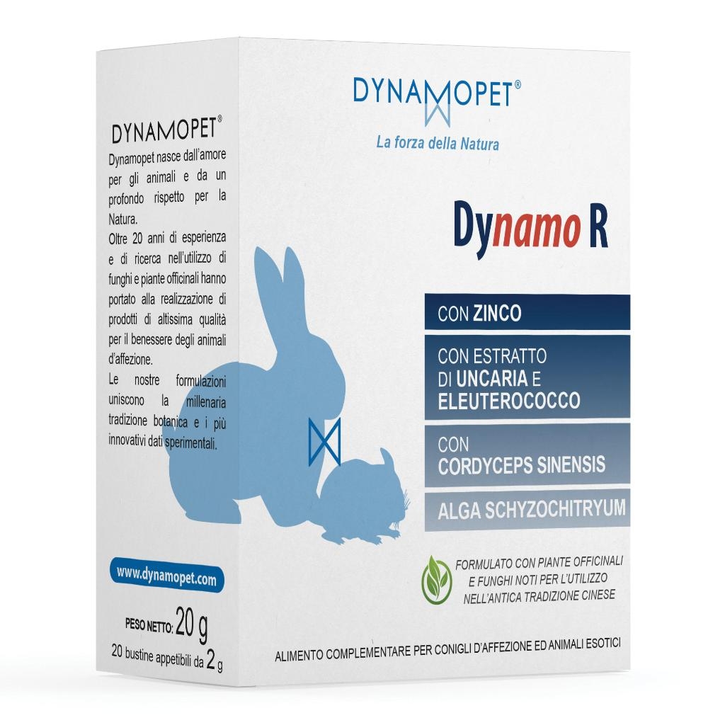 DYNAMO R 20 BUSTINE DA 2 G