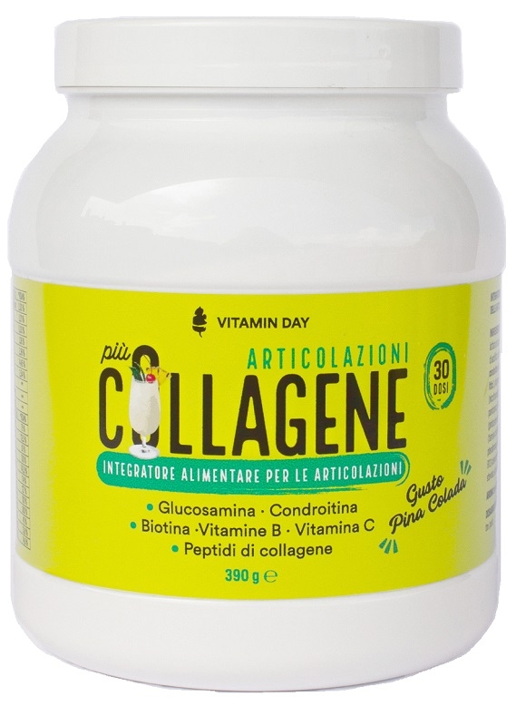 VITAMIN DAY COLLAGENE ARTICOLAZIONI 390 G