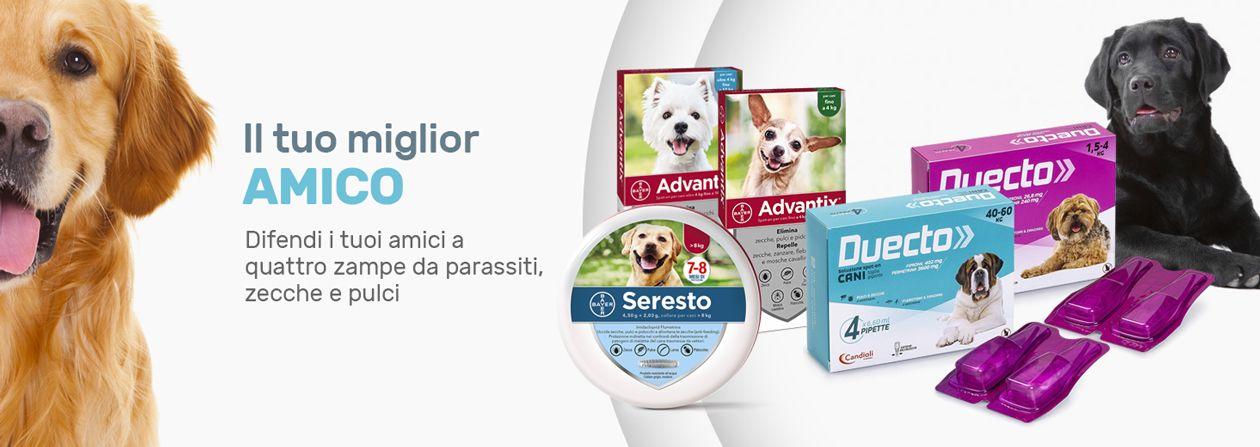 Veterinaria