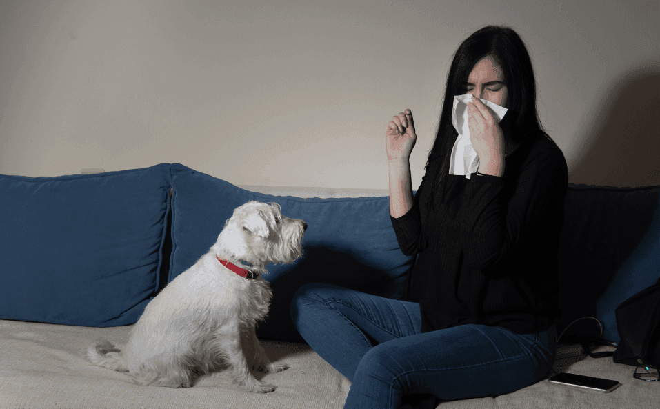 Rinite allergica diagnosi, sintomi e rimedi del mal di primavera