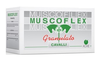 MUSCOFLEX GRANULATO 40 BUSTE 25 G