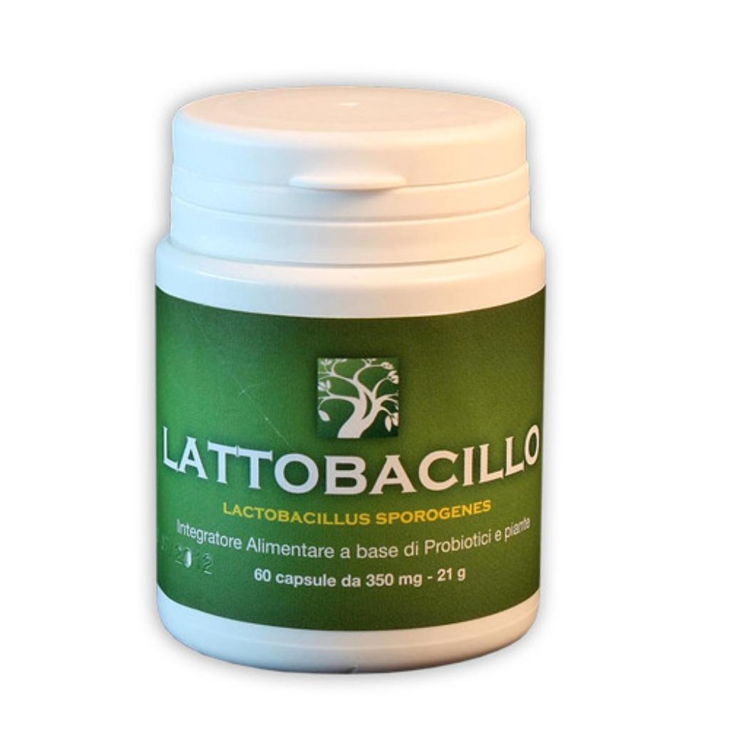 LATTOBACILLO SPOROGENES ABROS 60 CAPSULE 21 G