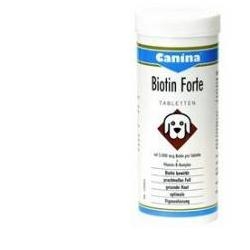 BIOTIN FORTE POLVERE 200 G