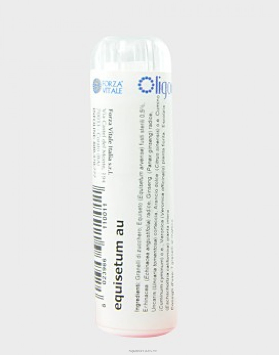 EQUISETUM AU 100 GLOBULI