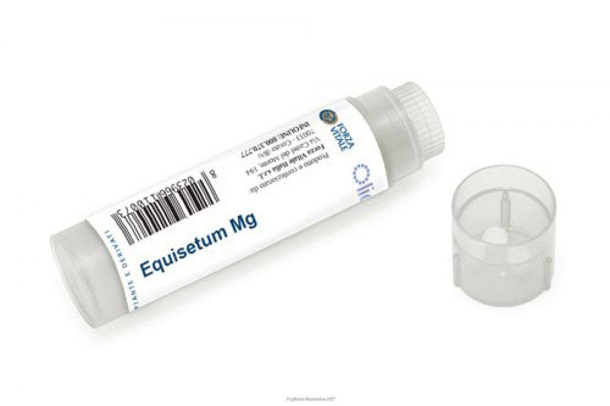 EQUISETUM LI 100 GLOBULI