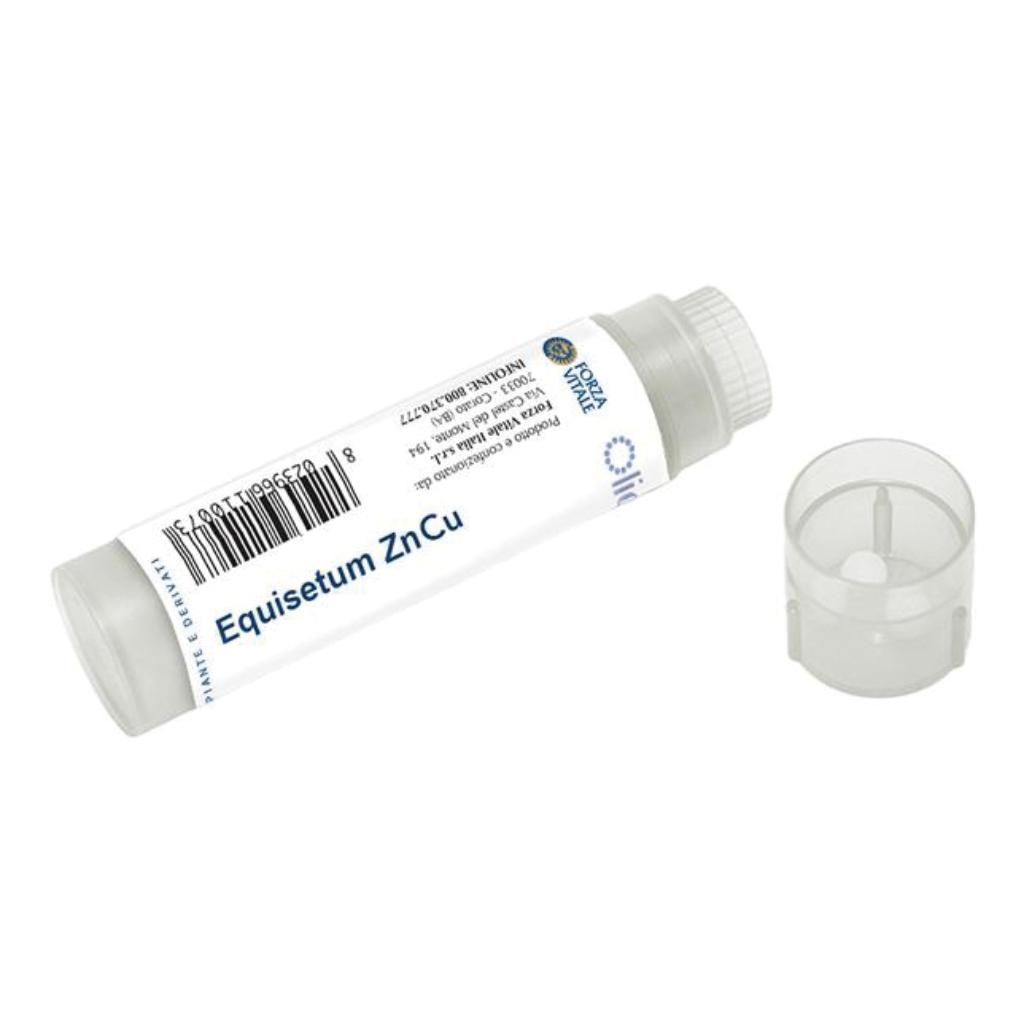 EQUISETUM ZN/CU 100 GLOBULI