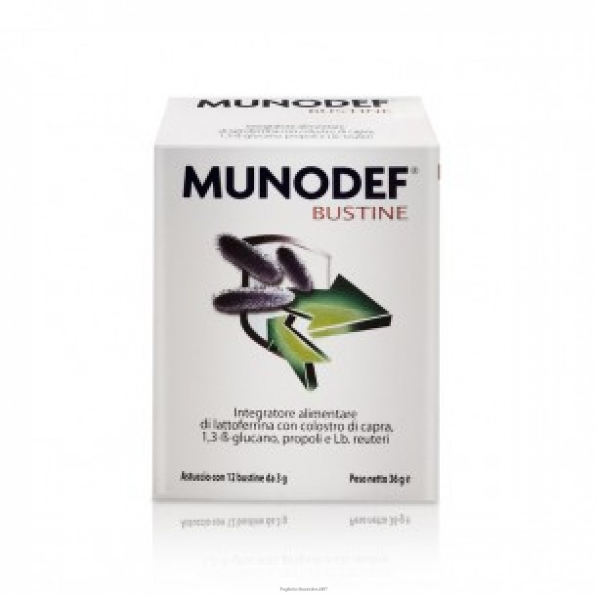 MUNODEF 12 BUSTINE