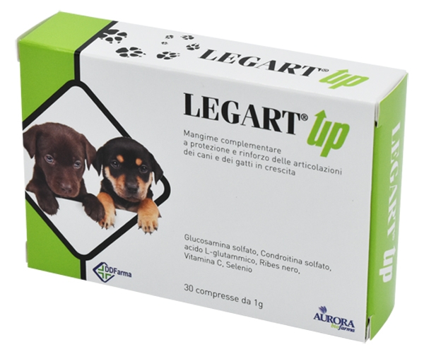 LEGART UP 60 COMPRESSE DA 1 G