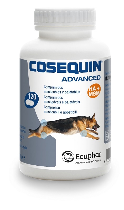 COSEQUIN ADVANCED CANE 120 COMPRESSE