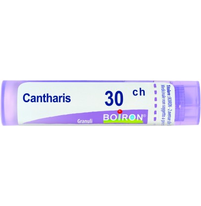 CANTHARIS GR 30CH BO