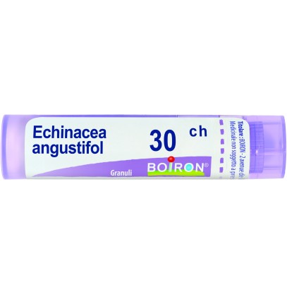 ECHINACEA ANGUST 30CH GR