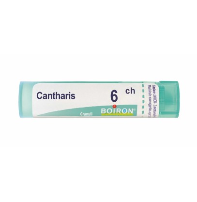 CANTHARIS 6CH GR