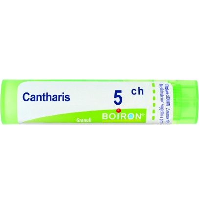 CANTHARIS 5CH GR