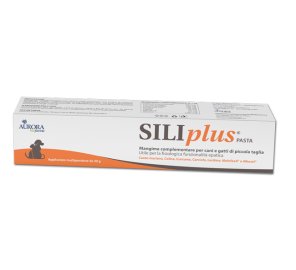 SILIPLUS Pasta 30g
