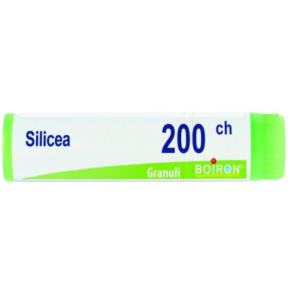 SILICEA 200CH GL BO
