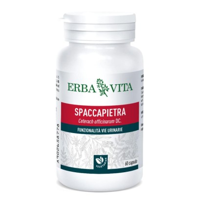 SPACCAPIETRA 60CPS 300MG