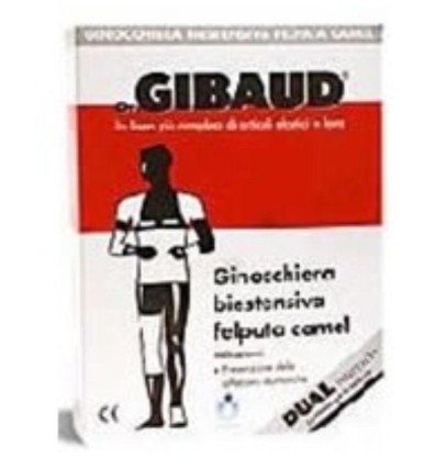 GIBAUD GINOCCH BIEST FELP CAM1