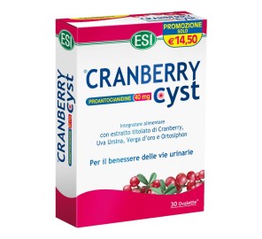 CRANBERRY CYST 30 OVALETTE OFS