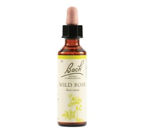 BACH 37 Wild Rose 20ml